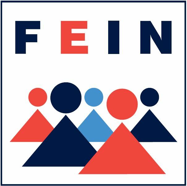 Logo-FEIN-Projekte