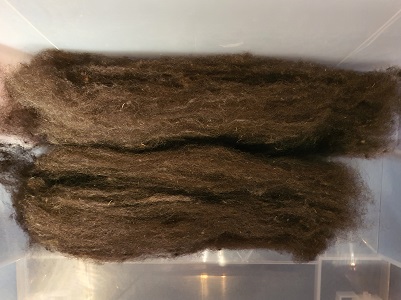 Wolle kardieren