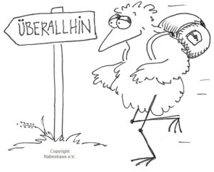 Rabe wandernd unterwegs