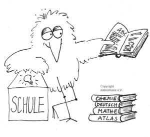 Rabe und Schule